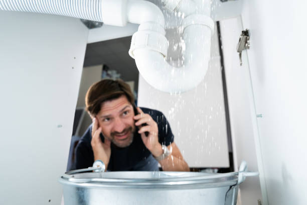 Best Residential Plumbing Services  in Waterloo, IL